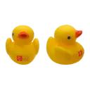 IBF Squeaky Duck